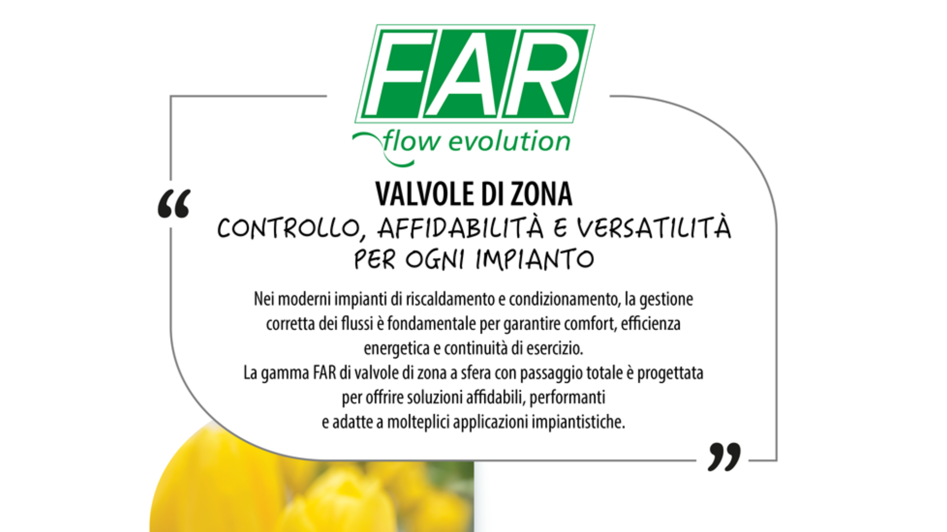 Immagine anteprima