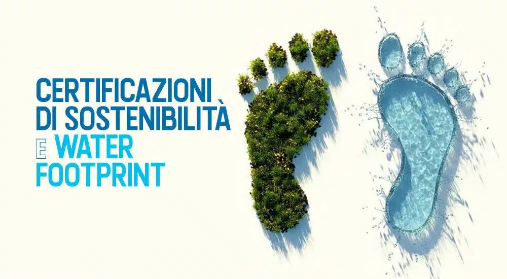 Immagine anteprima